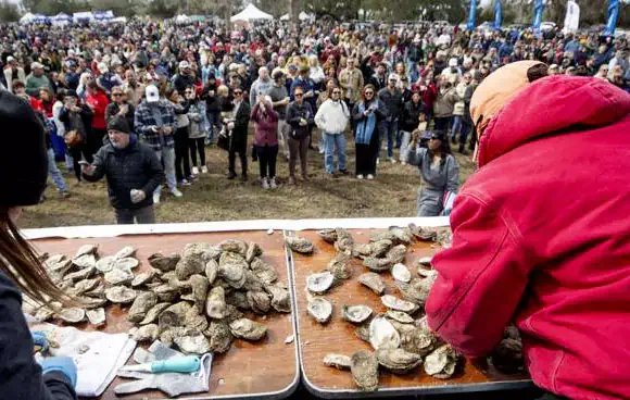 Lowcountry Oyster Festival 